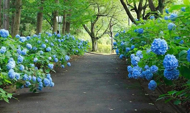 土合館公園